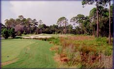 golf course remodeling photo