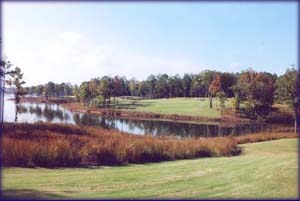 landscaped golf course